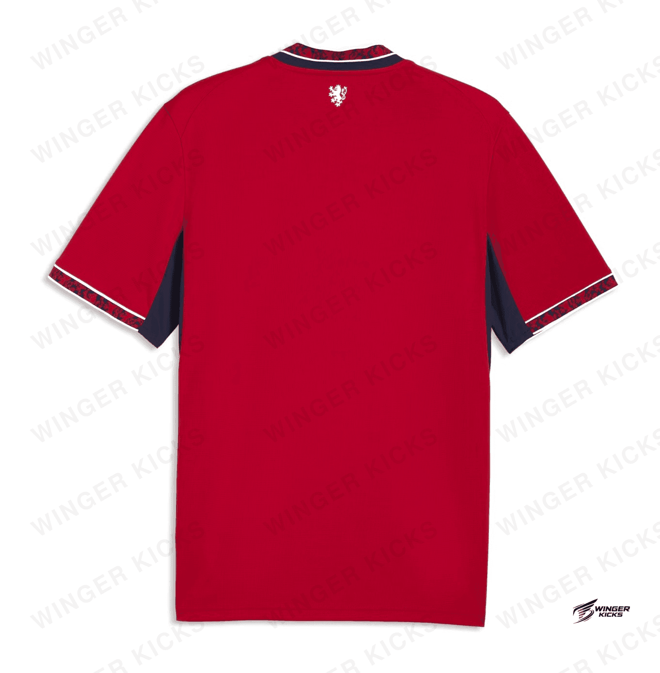 Czechia 2026 World Cup Home Jersey – Player Edition thumbnail 2